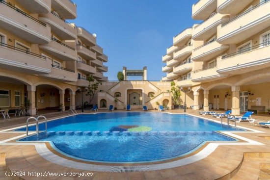 Apartamento en alquiler en Orihuela (Alicante)