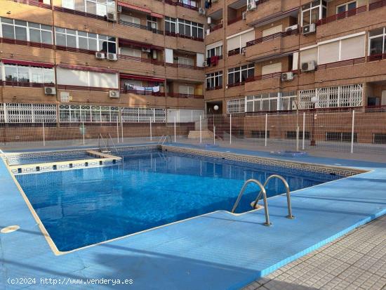 Bonito y céntrico apartamento en Torrevieja - ALICANTE