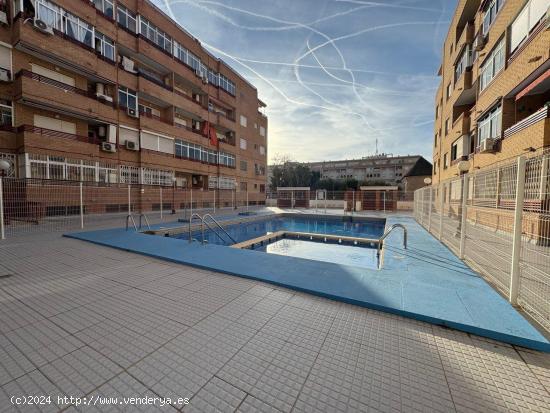 Bonito y céntrico apartamento en Torrevieja - ALICANTE