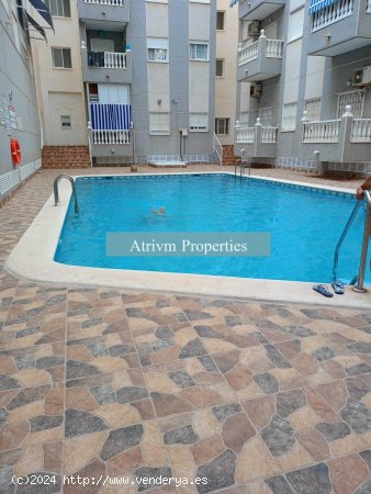 Apartamento en alquiler en Guardamar del Segura (Alicante)