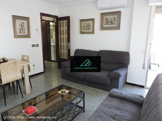 Apartamento en alquiler en Guardamar del Segura (Alicante)