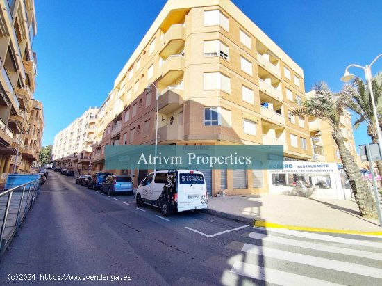  Apartamento en alquiler en Guardamar del Segura (Alicante) 