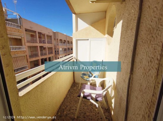 Apartamento en alquiler en Guardamar del Segura (Alicante)