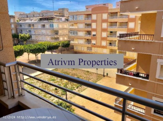 Apartamento en alquiler en Guardamar del Segura (Alicante)