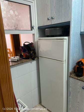 APARTAMENTO DE 1 DORMITORIO A 80 METROS DE LA PLAYA DE LOS LOCOS - ZONA TORREVIEJA - - ALICANTE