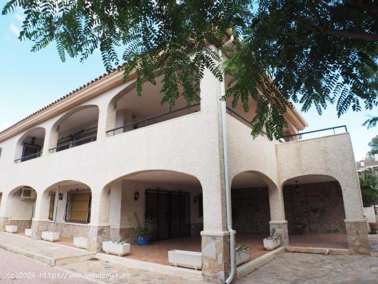 CHALET DE 450 M2 EN PETRER CON 10.000 M2 DE PARCELA - ALICANTE