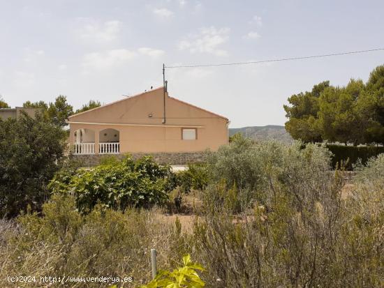 Chalet con piscina, solarium, casa de invitado,... - ALICANTE