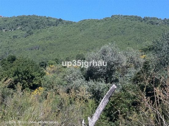 Solar en venta en Casares (Málaga)