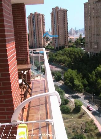 Estudio en venta en Zona Poniente, Benidorm - ALICANTE