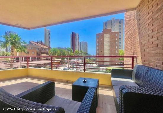 Apartamento en venta en Benidorm, a solo 150 m de la playa de Levante - ALICANTE