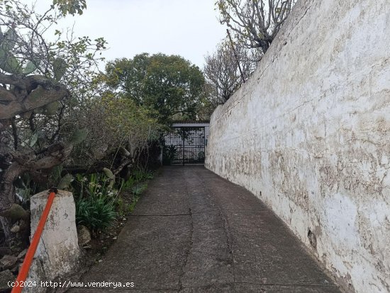  Casa en venta en Teror (Las Palmas) 