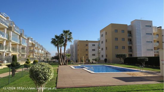 Apartamento en venta en Orihuela (Alicante)