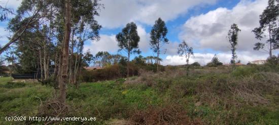 SUELO URBANO CONSOLIDADO EN GUAMANSA, SAN CRISTOBAL DE LA LAGUNA - SANTA CRUZ DE TENERIFE