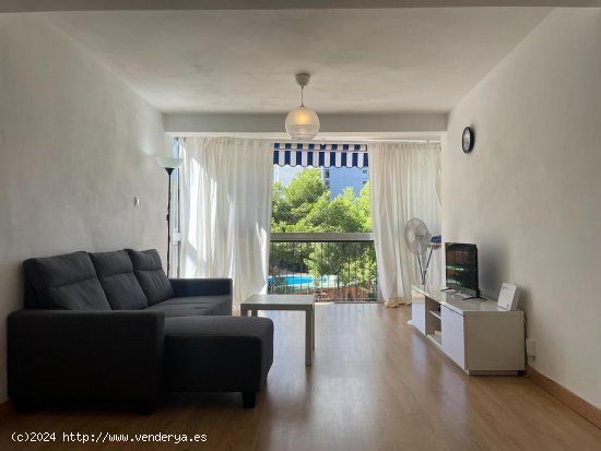 Apartamento en venta en Benidorm (Alicante)