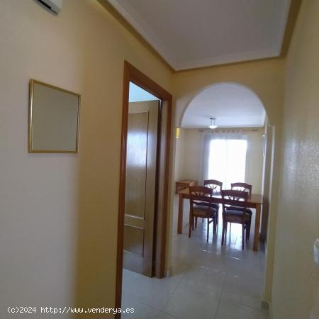 MARAVILLOSO APARTAMENTO EN GUARDAMAR DEL SEGURA! 90M2! 2DORM! 1 BAÑO! - ALICANTE