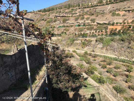 IMPRESIONANTE FINCA en uno de los mejores parajes de Gran Canaria: el Barranco Real de Telde, conoc 