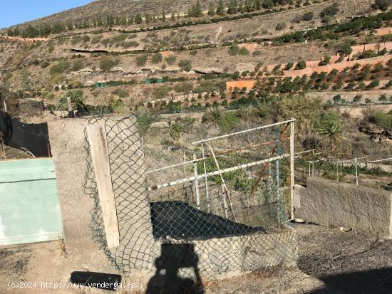 IMPRESIONANTE FINCA en uno de los mejores parajes de Gran Canaria: el Barranco Real de Telde, conoc 