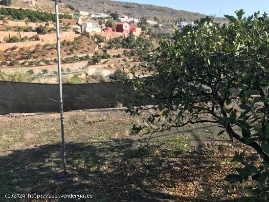 IMPRESIONANTE FINCA en uno de los mejores parajes de Gran Canaria: el Barranco Real de Telde, conoc 