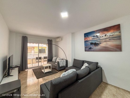 Apartamento en alquiler en Torrevieja (Alicante)