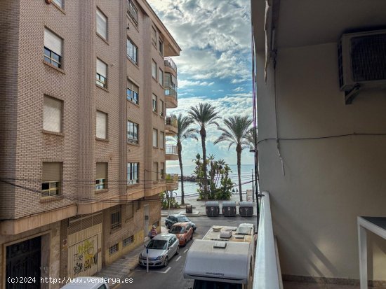 Apartamento en alquiler en Torrevieja (Alicante)