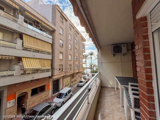 Apartamento en alquiler en Torrevieja (Alicante)