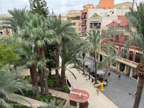 SE VENDE LA JOYA DE ELCHE - ALICANTE