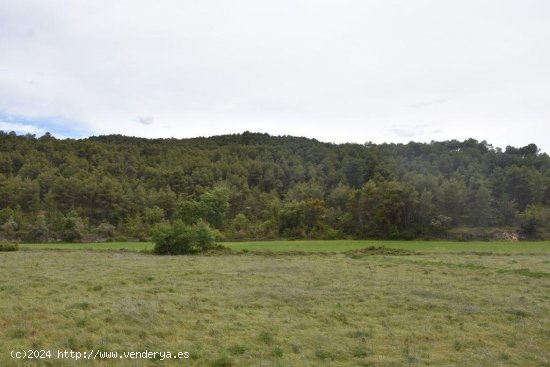  Finca en venta en Arens de Lledó (Teruel) 