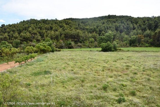 Finca en venta en Arens de Lledó (Teruel)