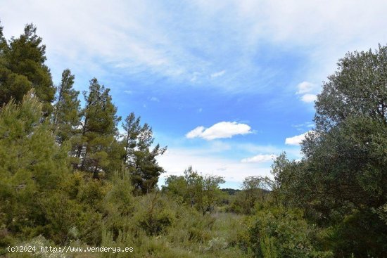 Finca en venta en Arens de Lledó (Teruel)