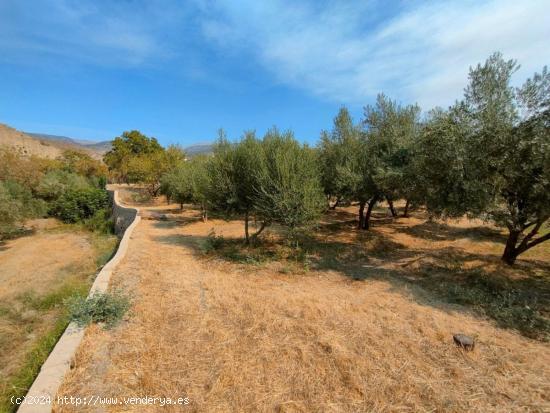 Se Vende en Ugijar - GRANADA