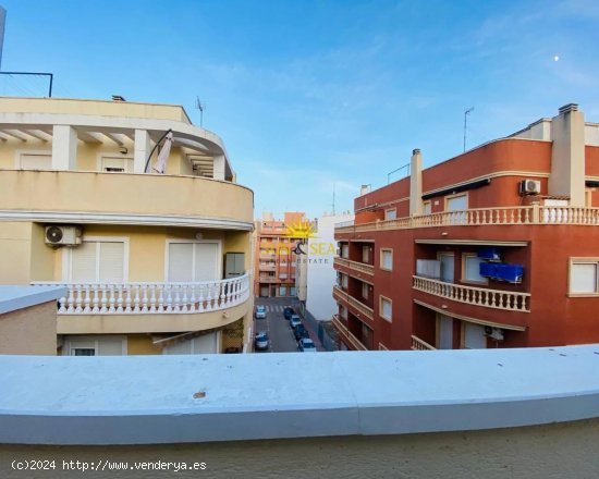 Apartamento en alquiler en Torrevieja (Alicante)