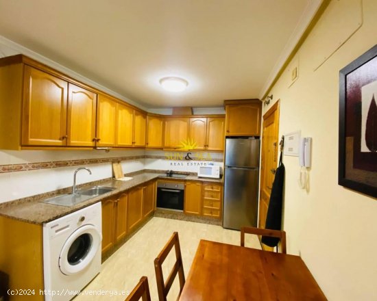 Apartamento en alquiler en Torrevieja (Alicante)