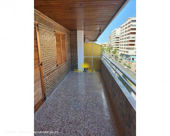 Apartamento en alquiler en Torrevieja (Alicante)