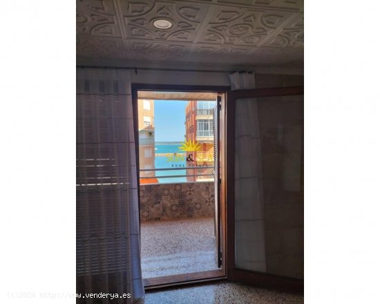 Apartamento en alquiler en Torrevieja (Alicante)