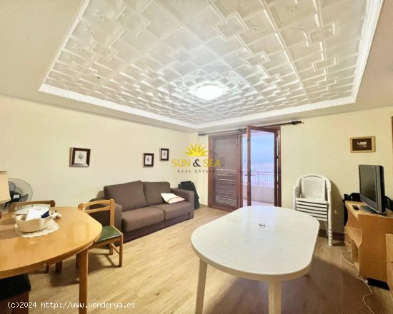 Apartamento en alquiler en Torrevieja (Alicante)