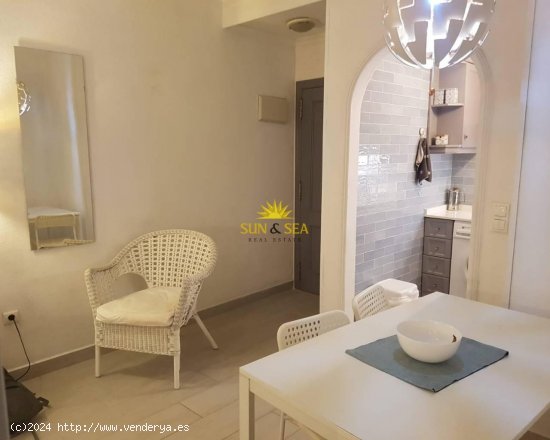 Apartamento en alquiler en Torrevieja (Alicante)