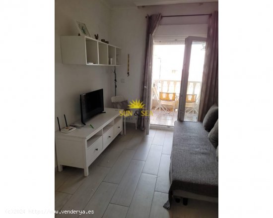 Apartamento en alquiler en Torrevieja (Alicante)