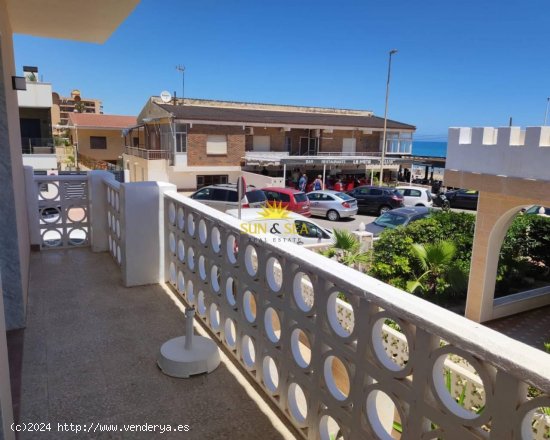 Apartamento en alquiler en Torrevieja (Alicante)