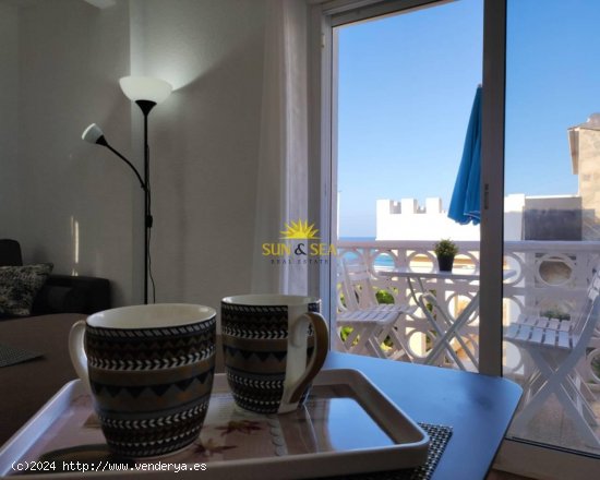 Apartamento en alquiler en Torrevieja (Alicante)