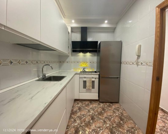 Apartamento en alquiler en Torrevieja (Alicante)