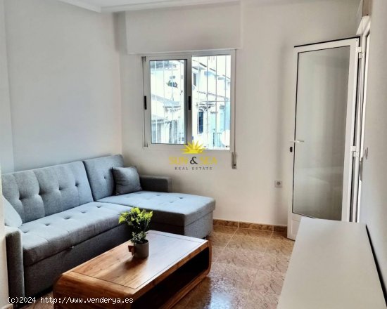 Apartamento en alquiler en Torrevieja (Alicante)