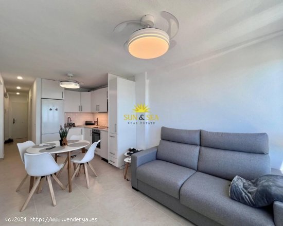 Apartamento en alquiler en Torrevieja (Alicante)