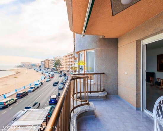 Apartamento en alquiler en Torrevieja (Alicante)