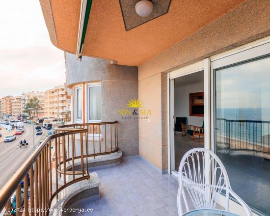 Apartamento en alquiler en Torrevieja (Alicante)