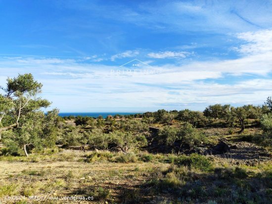  Finca en venta en El Perelló (Tarragona) 