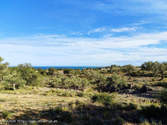 Finca en venta en El Perelló (Tarragona)