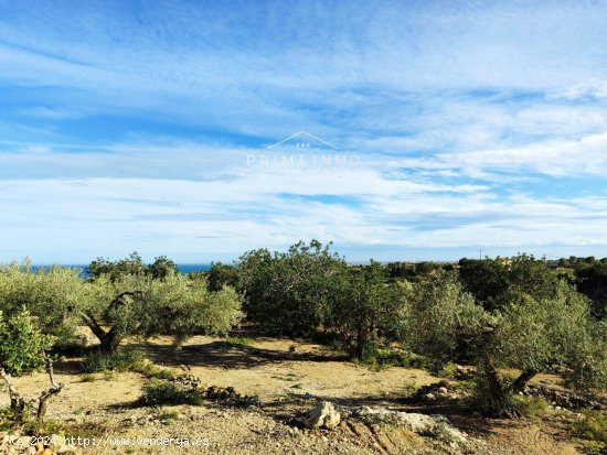 Finca en venta en El Perelló (Tarragona)