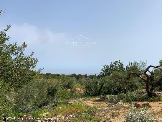 Finca en venta en El Perelló (Tarragona)