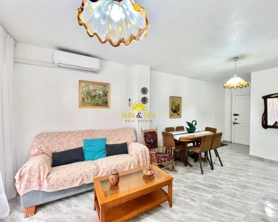 Apartamento en alquiler en Torrevieja (Alicante)