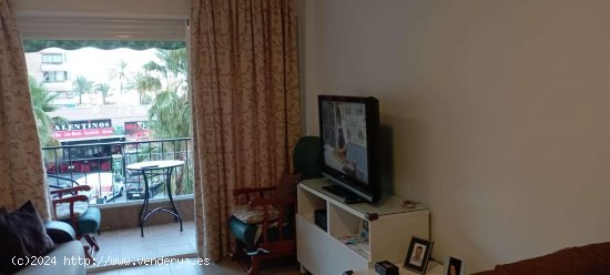 Apartamento en alquiler en Fuengirola (Málaga)